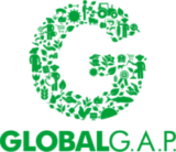 imgi_14_G_Logo_green_RGB